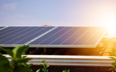 Taxação da Energia Solar: Entenda sobre a Lei 14.300
